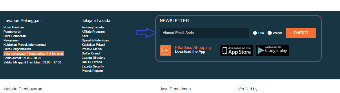 newsletter, berlangganan email 