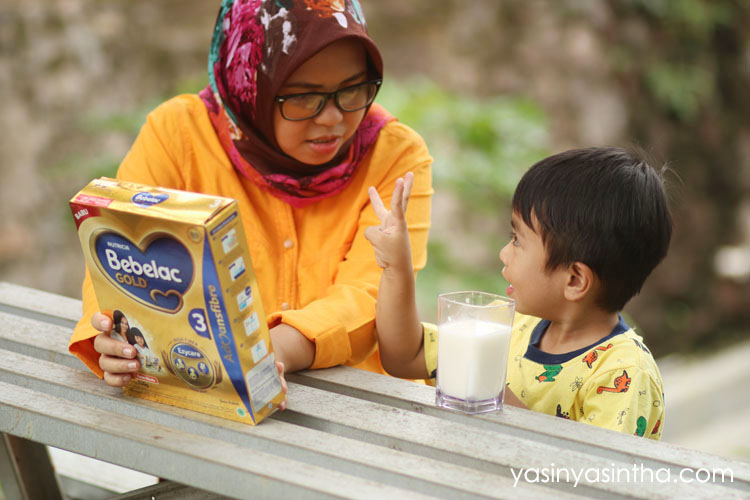 review bebelac gold, bebelac gold, susu bebelac 