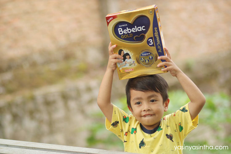 review bebelac gold, bebelac gold, susu bebelac 