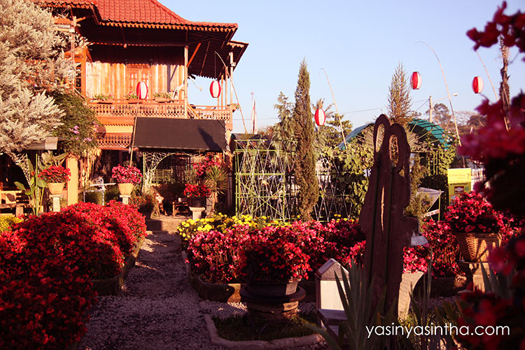 blogger bandung, travel, bandung, begonia 