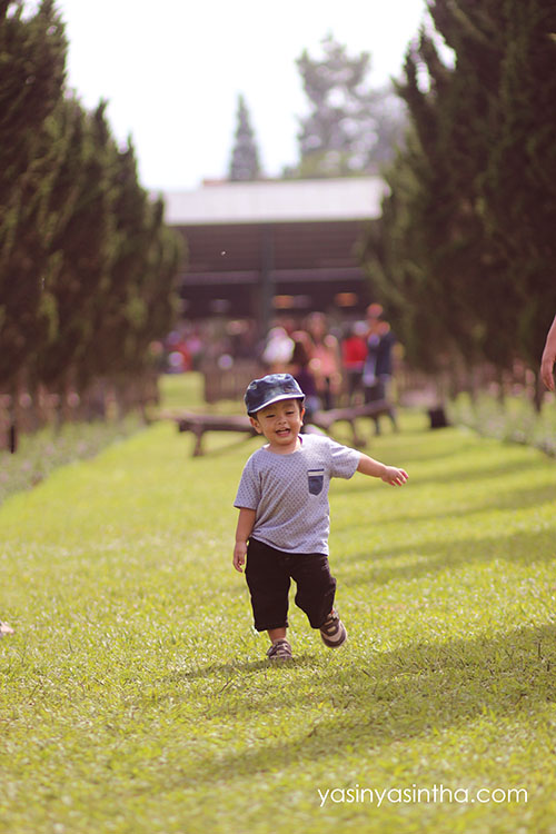 lembang de ranch, blogger, blogger bandung 