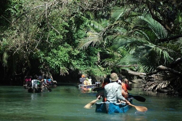 ekowisata papua